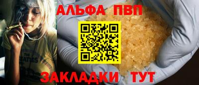 стаф Донской