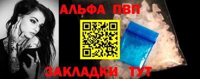 стаф Донской